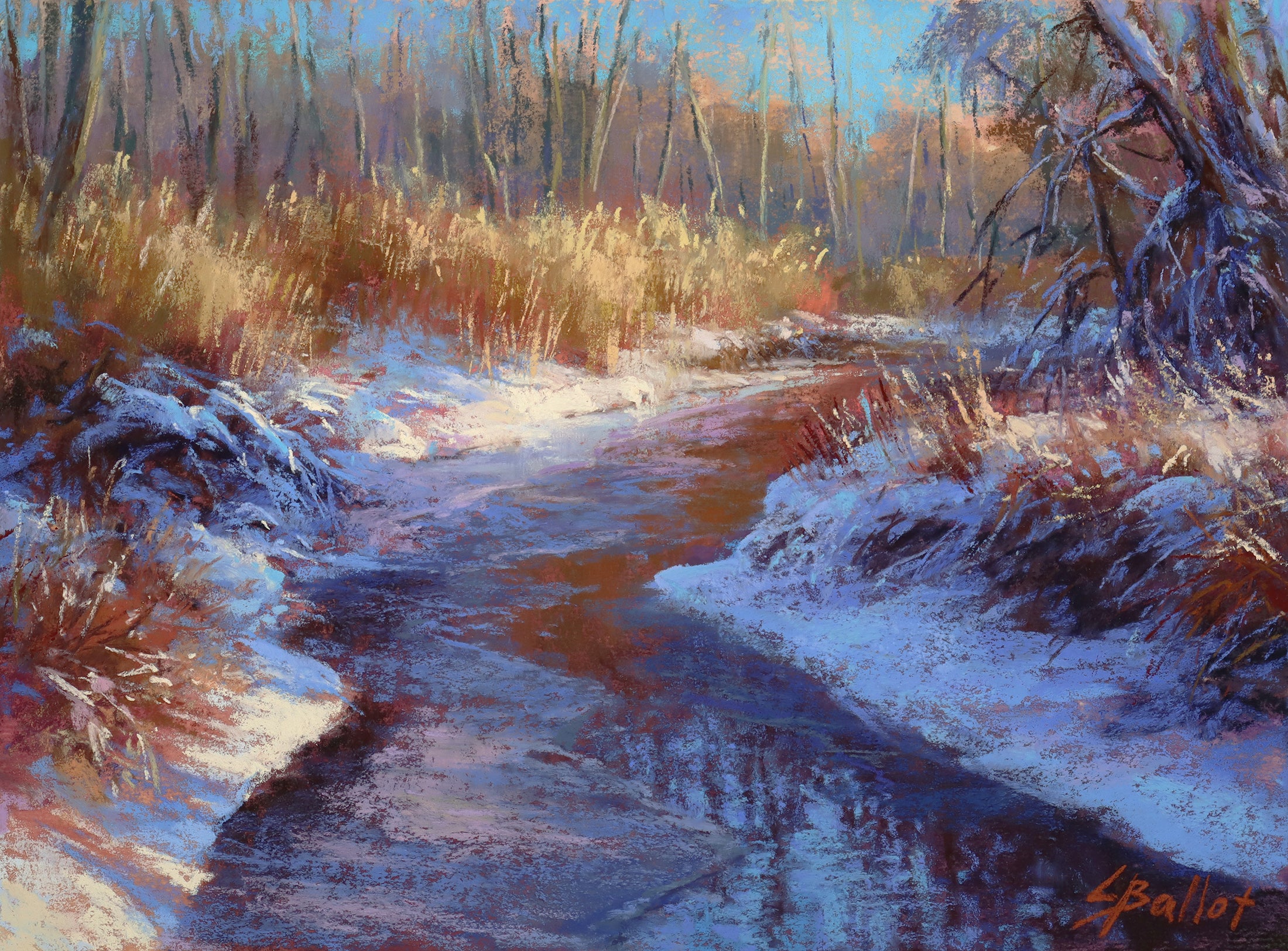 Along the Winter Creek