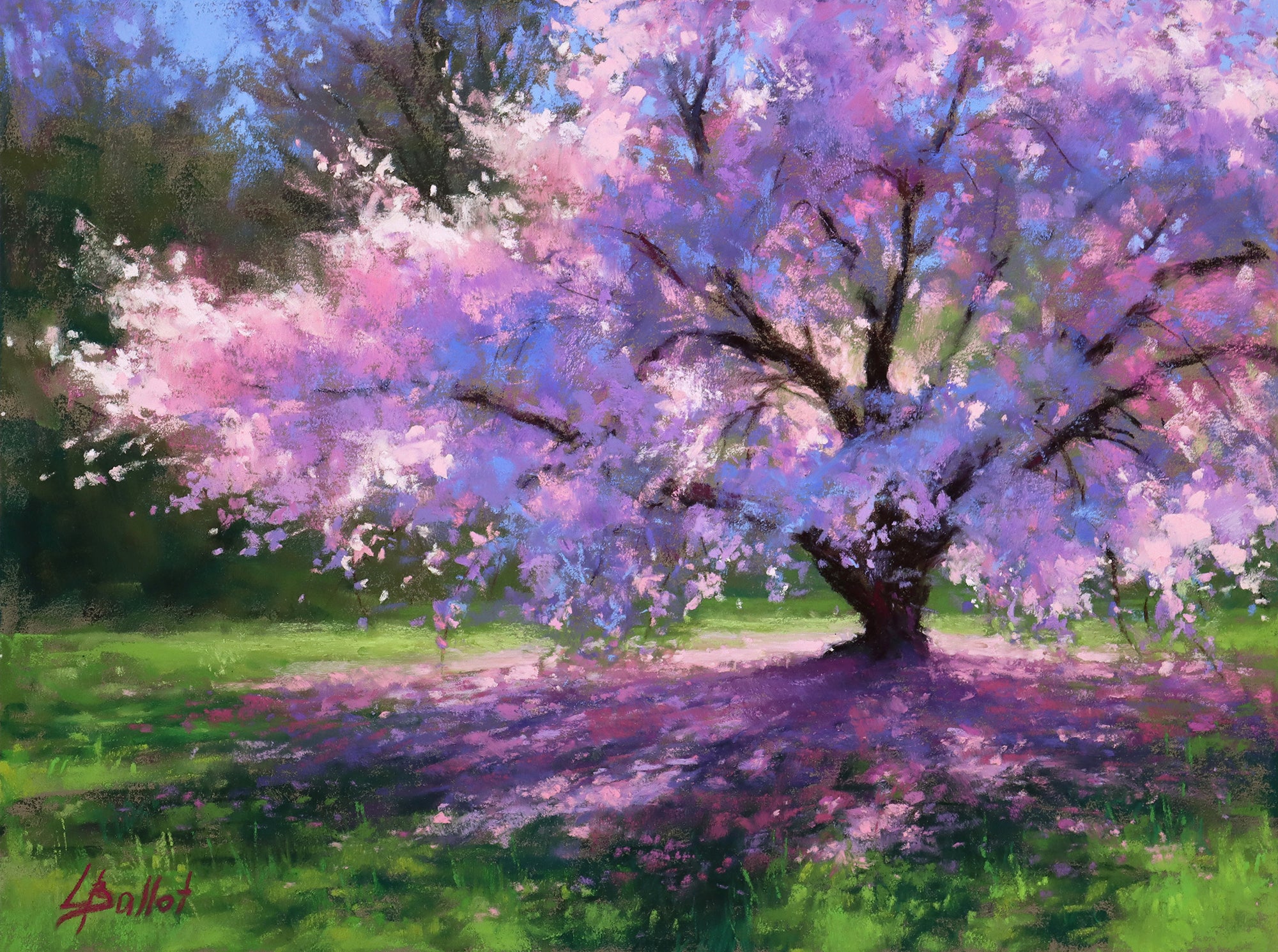 Cherry Tree