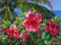 Tropical Hibiscus