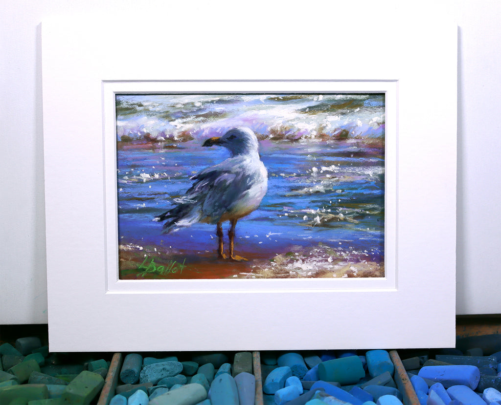 Seagull and Sparkles