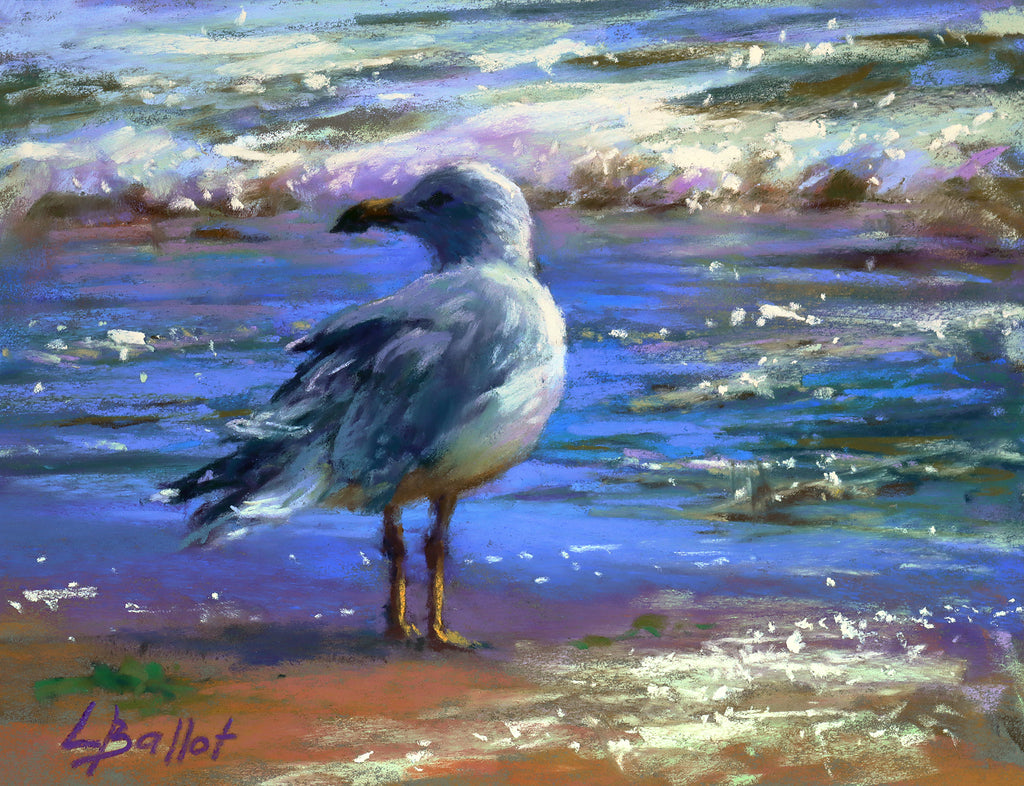 Seagull and Sparkles