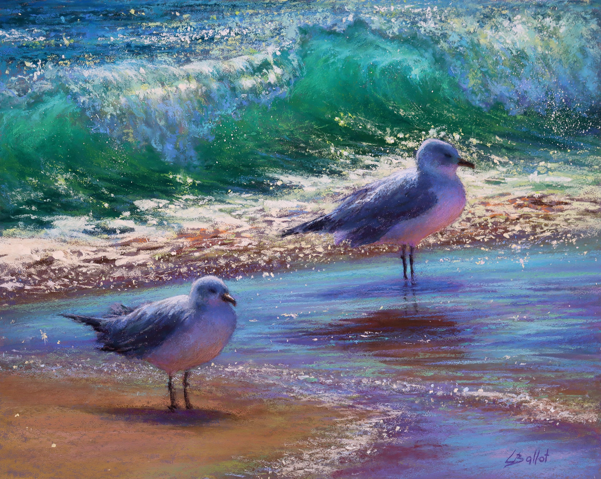 Sea Gulls and Sparkling Surf