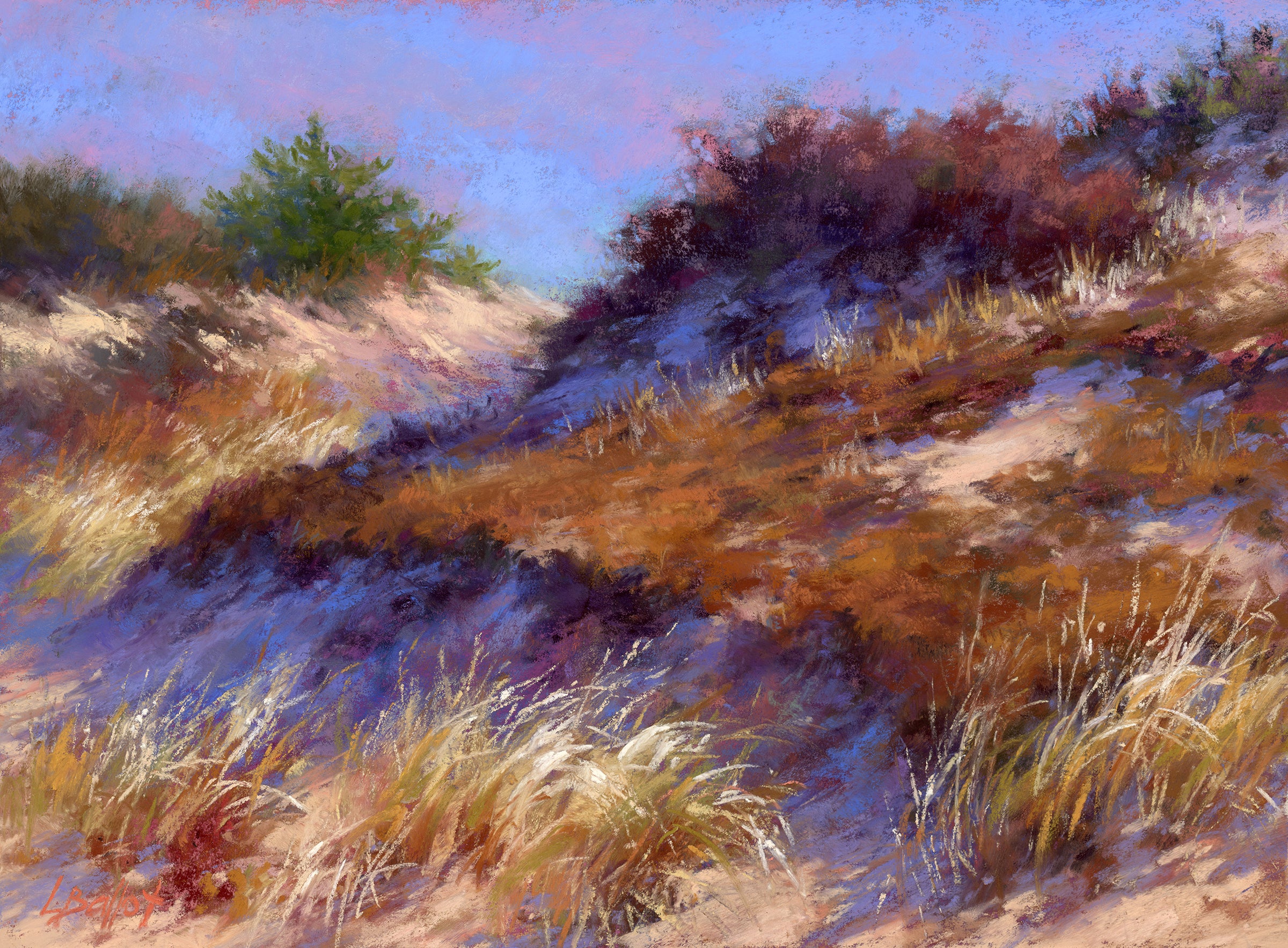 Sunlit Dunes
