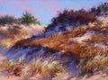 Sunlit Dunes
