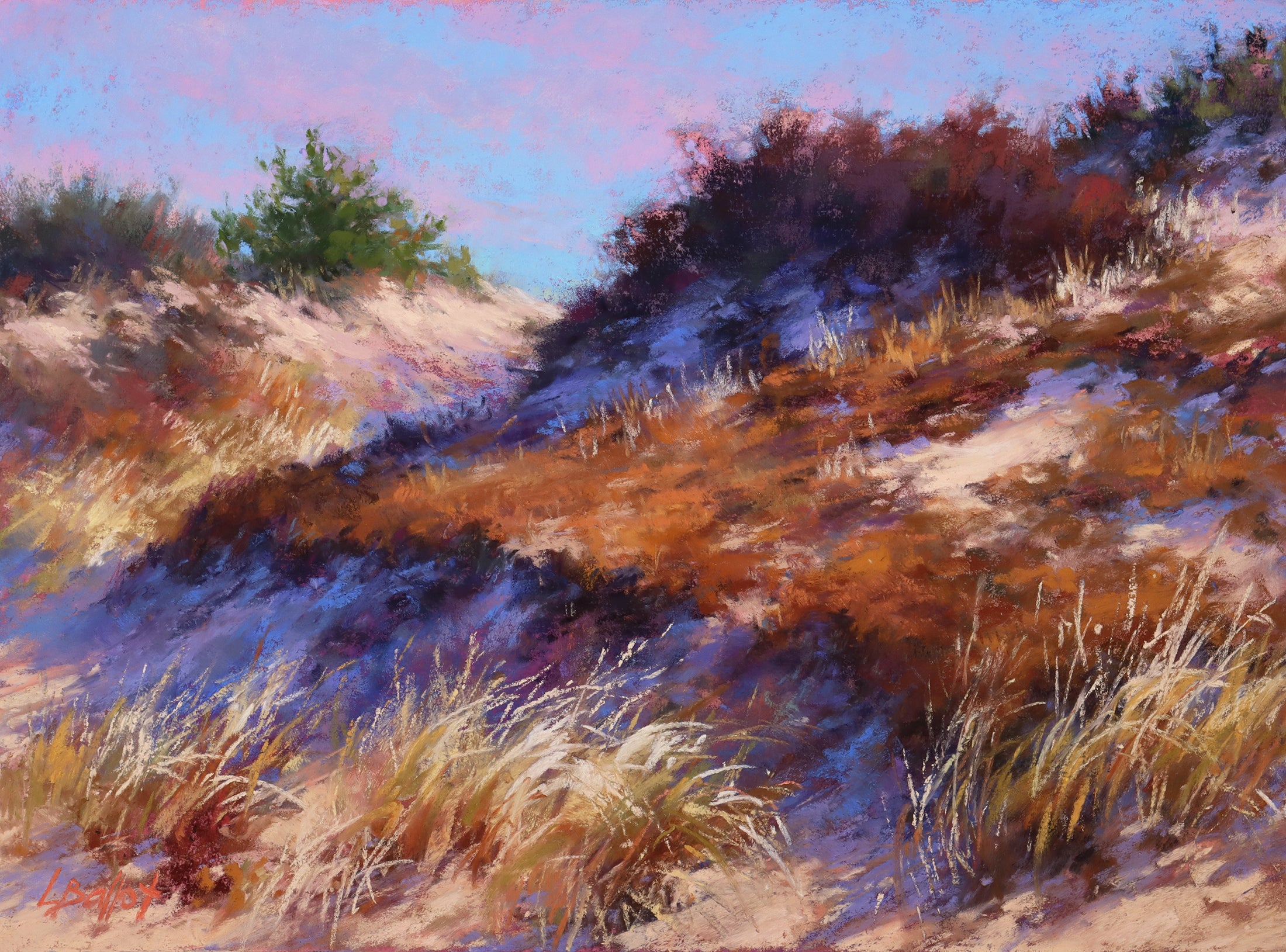 Sunlit Dunes